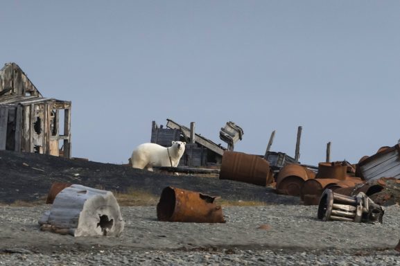 Eddy round the world...nordpol