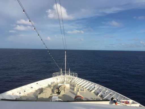 eddy round the world...kurs neuseeland